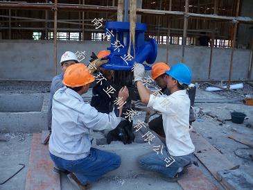 南京龍潭水廠用 300RJC185-12*4長軸深井泵指導安裝完畢(圖2)