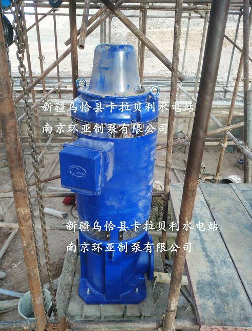 祝賀南京環亞制泵有限公司中標新疆烏恰縣卡拉貝利水電站(圖4)